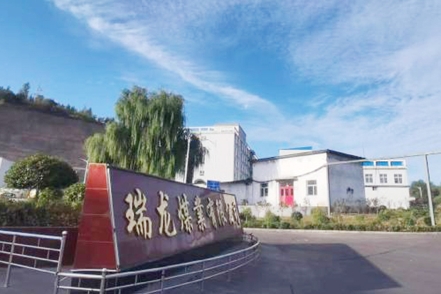 山西寿阳潞阳瑞龙煤业有限公司
